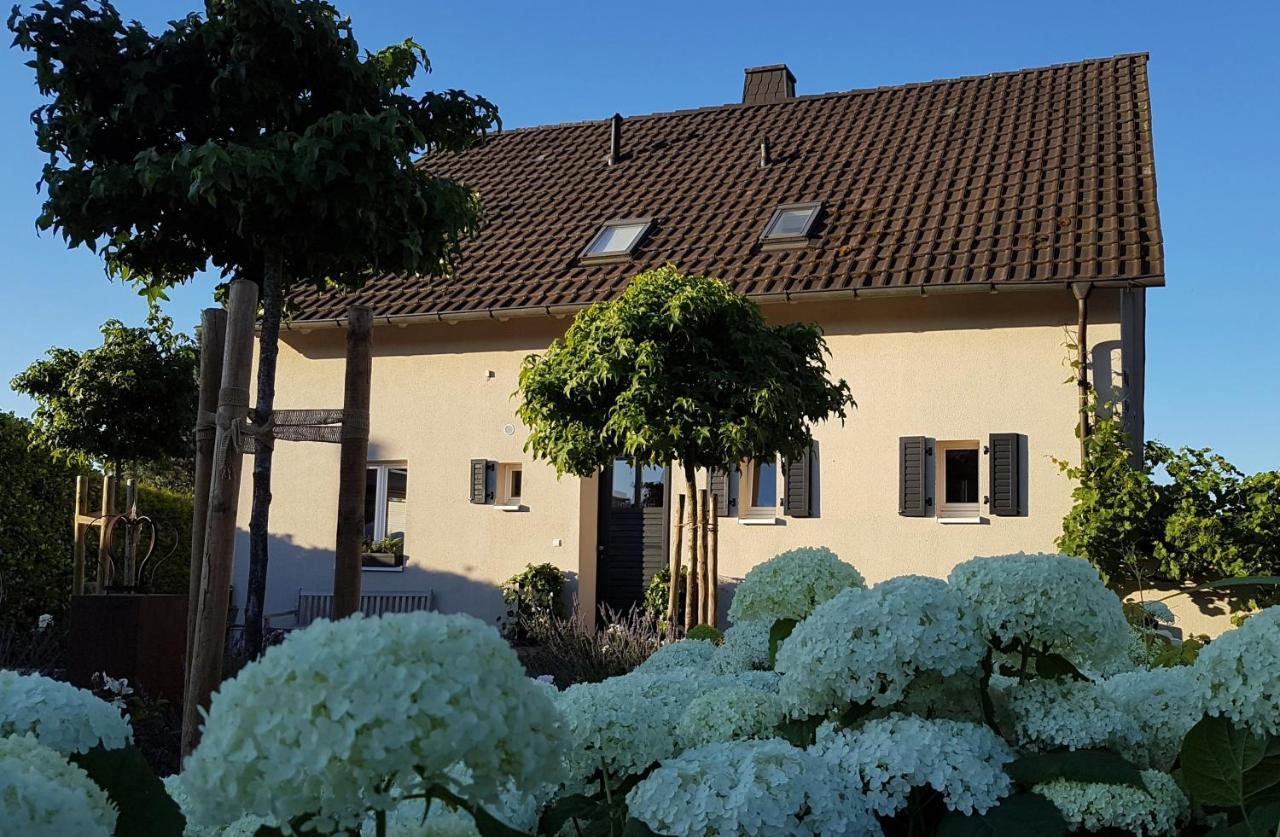 Gleisberg3 - Suedliche Weinstrasse Appartement Billigheim-Ingenheim Buitenkant foto